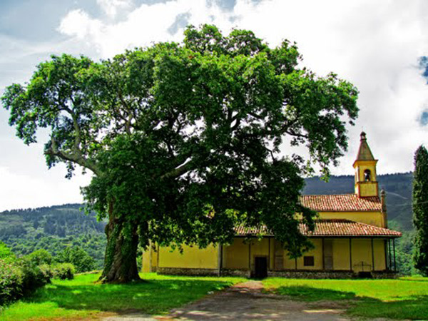 Iglesia de Santa Eulalia - Coya